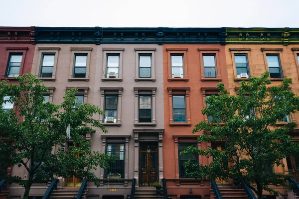 Maisons Rangée Colorées Harlem Manhattan New York — Photo