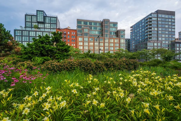 Blommor Och Byggnader Längs Hudson River Greenway Tribeca Manhattan New — Stockfoto