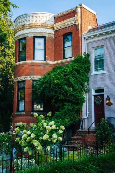 Casas Jardín Fila Capitol Hill Washington — Foto de Stock