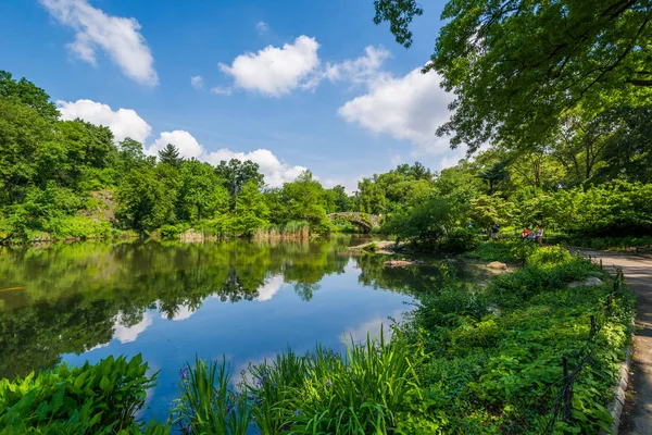 Pond Central Park Manhattan Nova Iorque — Fotografia de Stock