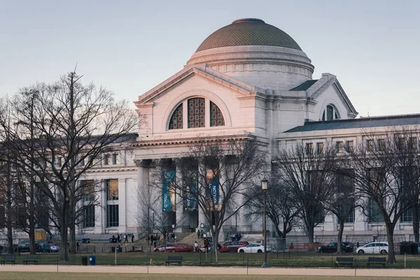 Museo Nacional Historia Natural Del Smithsonian Washington — Foto de Stock