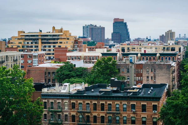 Harlem Morningside Heights Manhattan New York City View — Stock Fotó