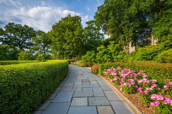 Paseo Flores Jardín Del Conservatorio Central Park Manhattan Nueva York —  Fotos de Stock