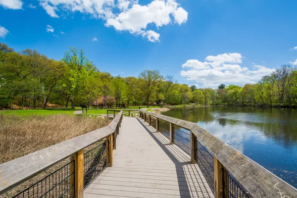 遊歩道のニューヘブン コネチカット州エッジウッド公園でアヒルの池で — ストック写真
