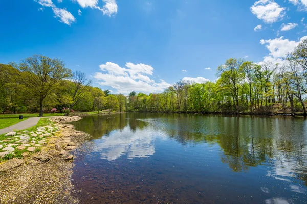 Lagoa Pato Edgewood Park New Haven Connecticut — Fotografia de Stock