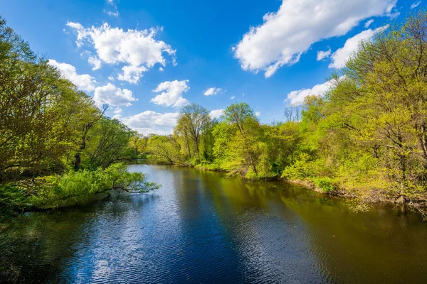 Mill River New Haven Connecticut — Stock Photo, Image