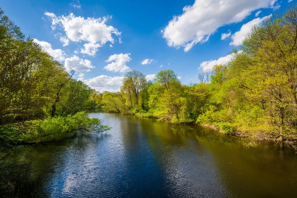 Mill River New Haven Connecticut — Zdjęcie stockowe