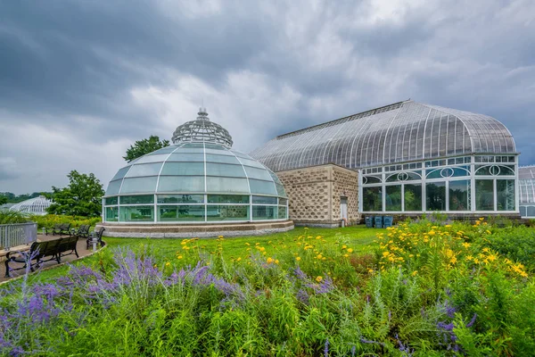 Conservatório Phipps Pittsburgh Pensilvânia — Fotografia de Stock