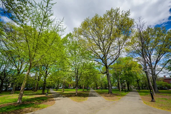 Wooster Square Pittsburgh Pennsylvania — Foto Stock