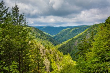 Bir görünümünü karasu Kanyon, karasu Falls State Park, Batı Virjinya.