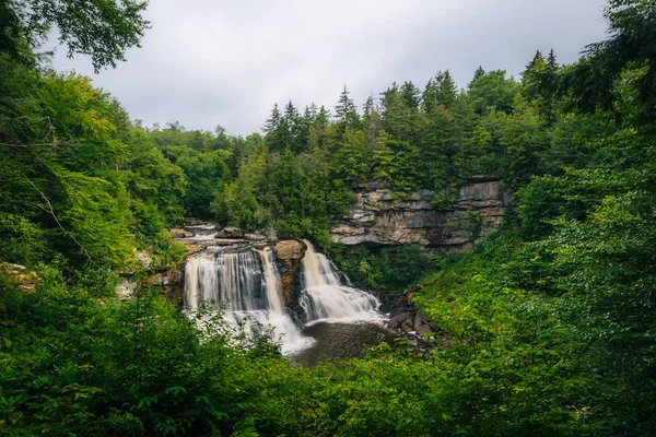 Blackwater Falls Blackwater Falls State Park Virgínia Ocidental — Fotografia de Stock