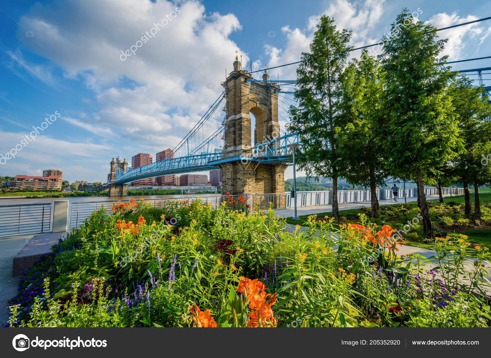 Flowers John Roebling Suspension Bridge Cincinnati Ohio Stock Photo C Appalachianview 205352920