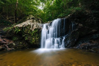 Art arda sıralı Falls, Patapsco Valley State Park, Maryland.
