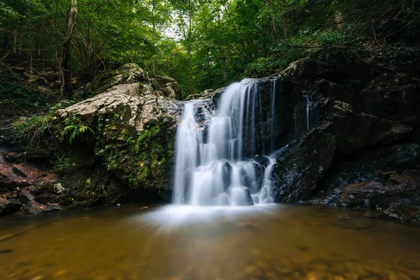 Wasserfall Patapsco Valley State Park Märchenland — Stockfoto