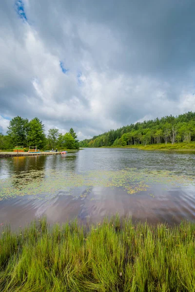 Pendleton Lake Blackwater Falls State Park Virginia Occidental — Foto de Stock