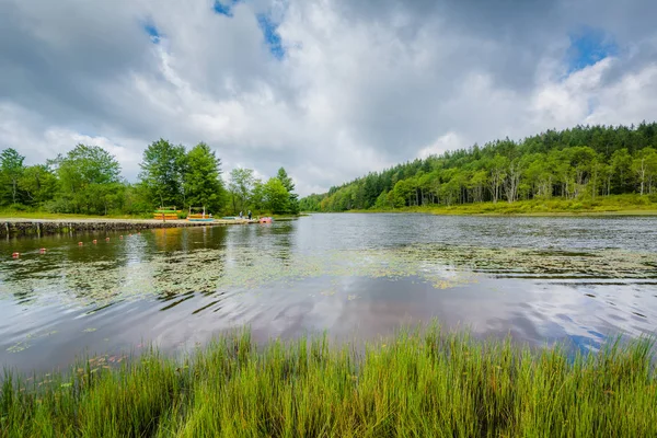 Пендлтон Озера Блекуотер Падає Природного Парку Західна Вірджинія — стокове фото