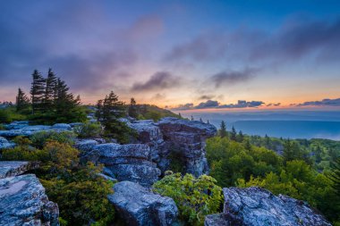 Ayı kayalar korumak Dolly Sods vahşi, Monongahela Ulusal Ormanı, West Virginia dan gündoğumu görünümü.
