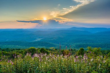 Ladin düğmesi, Monongahela Ulusal Ormanı, Batı Virginia'daki günbatımı
