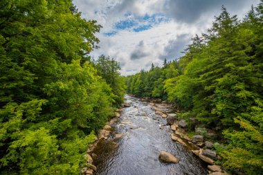 The Blackwater River at Blackwater Falls State Park, West Virginia. clipart