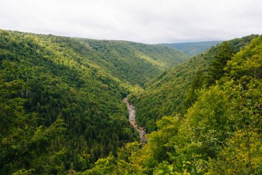 Pendleton noktasında karasu görünümünden State Park, Batı Virginia düşüyor.