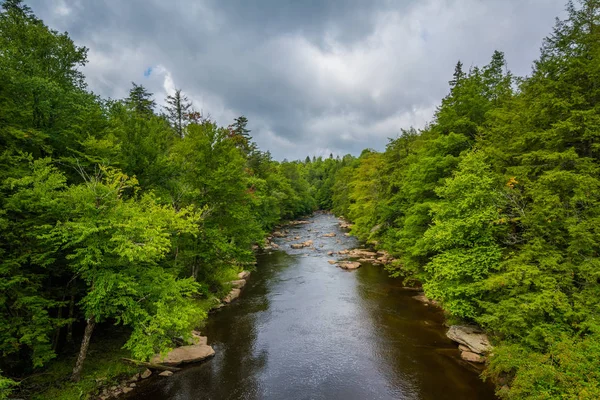 Rivière Blackwater Blackwater Falls State Park Virginie Occidentale — Photo