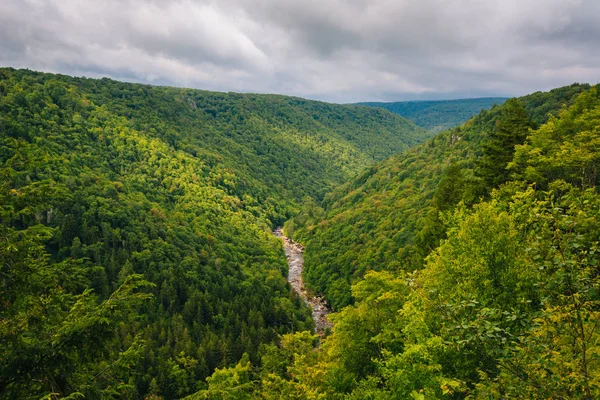 Vista Pendleton Point Nel Blackwater Falls State Park Virginia Occidentale — Foto Stock