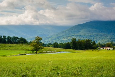 Bir su birikintisi ve kırsal Potomac dağlık Batı Virginia dağlarda görünümü.
