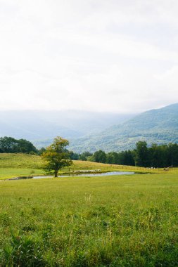 Bir su birikintisi ve kırsal Potomac dağlık Batı Virginia dağlarda görünümü.