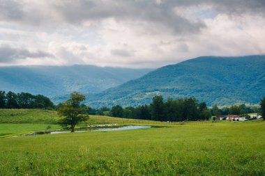 Bir su birikintisi ve kırsal Potomac dağlık Batı Virginia dağlarda görünümü.