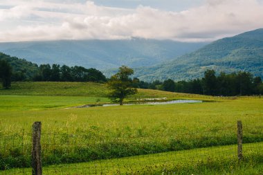 Bir su birikintisi ve kırsal Potomac dağlık Batı Virginia dağlarda görünümü.