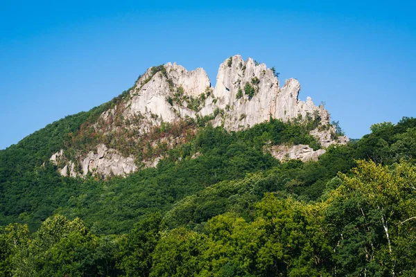 Weergave Van Seneca Rocks Monongahela National Forest West Virginia — Stockfoto