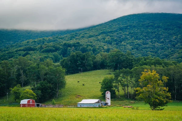 Vista Una Granja Montañas Las Tierras Altas Rurales Potomac Virginia —  Fotos de Stock