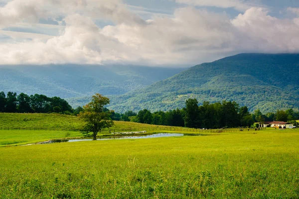 View Pond Mountains Rural Potomac Highlands West Virginia — Stock Photo, Image