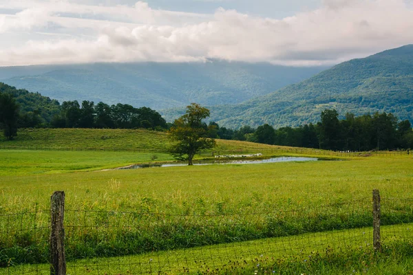 Vista Uma Lagoa Montanhas Nas Terras Altas Potomac Rurais Virgínia — Fotografia de Stock