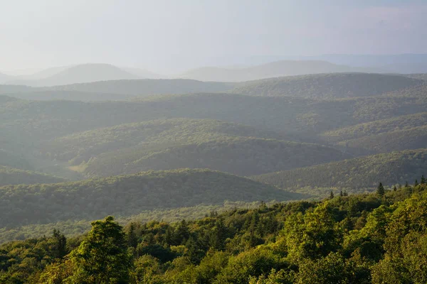 Vue Des Crêtes Montagne Depuis Bouton Épinette Dans Forêt Nationale — Photo