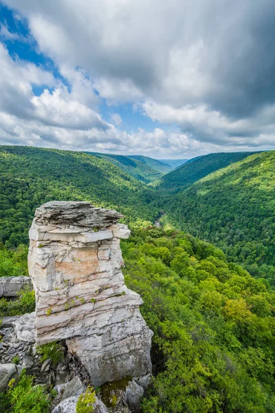 Visa Blackwater Canyon Från Lindy Punkt Blackwater Falls State Park — Stockfoto