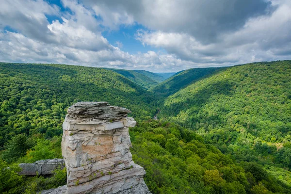 Visa Blackwater Canyon Från Lindy Punkt Blackwater Falls State Park — Stockfoto