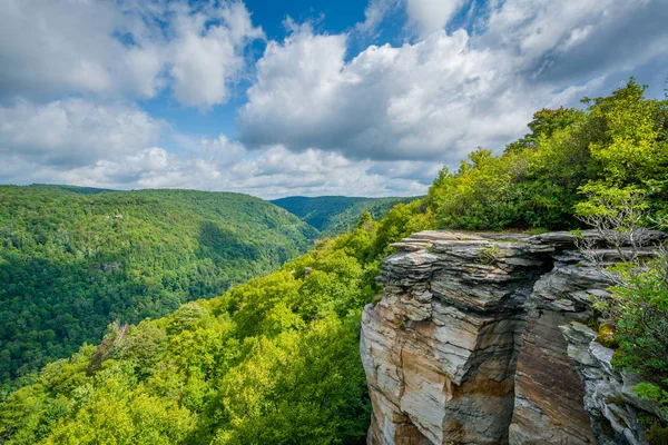 Vista Del Cañón Blackwater Desde Lindy Point Blackwater Falls State — Foto de Stock