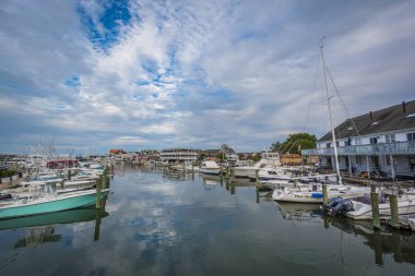 Cape May Harbor, Cape May, New Jersey.
