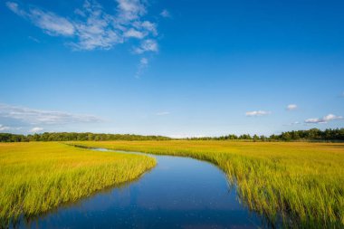 Sulak yumurta Harbor Township, New Jersey