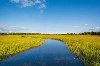Sulak yumurta Harbor Township, New Jersey