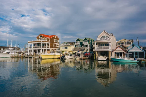 Cape Mei Harbor Cape May New Jersey — Stockfoto