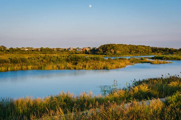 View Wetlands South Cape May Meadows Cape May New Jersey — Stock Photo, Image
