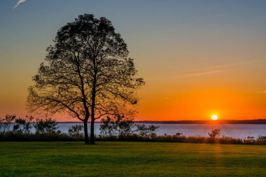 Gün batımında, ağaca Elk boyun State Park, Maryland