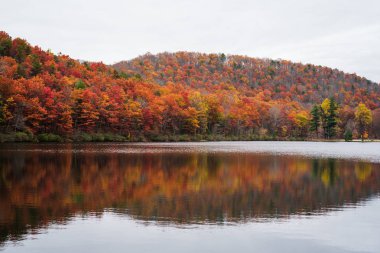Sherando Gölü, sonbahar yansımaları yakınındaki Blue Ridge Parkway George Washington Ulusal Ormanı, Virginia.