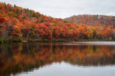 Sherando Gölü, sonbahar yansımaları yakınındaki Blue Ridge Parkway George Washington Ulusal Ormanı, Virginia.