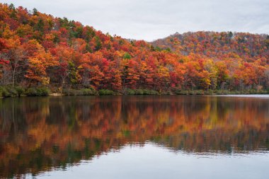 Sherando Gölü, sonbahar yansımaları yakınındaki Blue Ridge Parkway George Washington Ulusal Ormanı, Virginia.