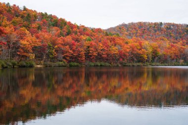Sherando Gölü, sonbahar yansımaları yakınındaki Blue Ridge Parkway George Washington Ulusal Ormanı, Virginia.