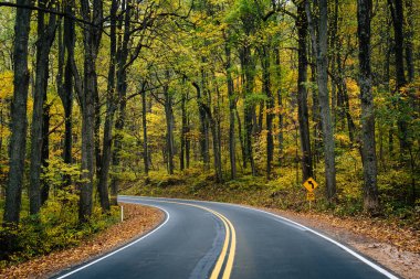 Early autumn color along Skyline Drive in Shenandoah National Park, Virginia clipart