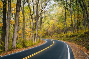 Skyline sürücü Shenandoah Milli Parkı, Virginia boyunca erken sonbahar renk